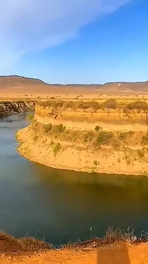 Edited video showing an elephant pushing a hyena off a cliff, followed by a bear falling and a crocodile attacking.