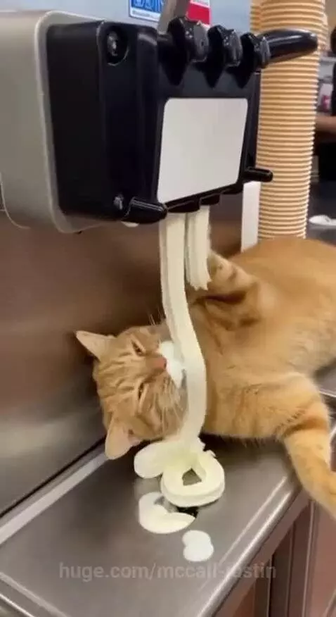 An orange tabby cat happily eating soft-serve ice cream dispensed directly onto its face from a machine.