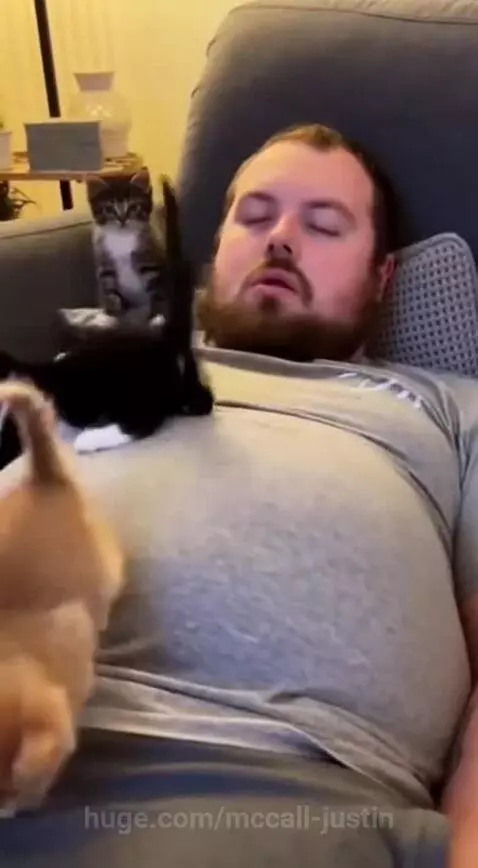 Three small kittens playfully pouncing and walking on a man's chest and stomach while he rests on a couch.