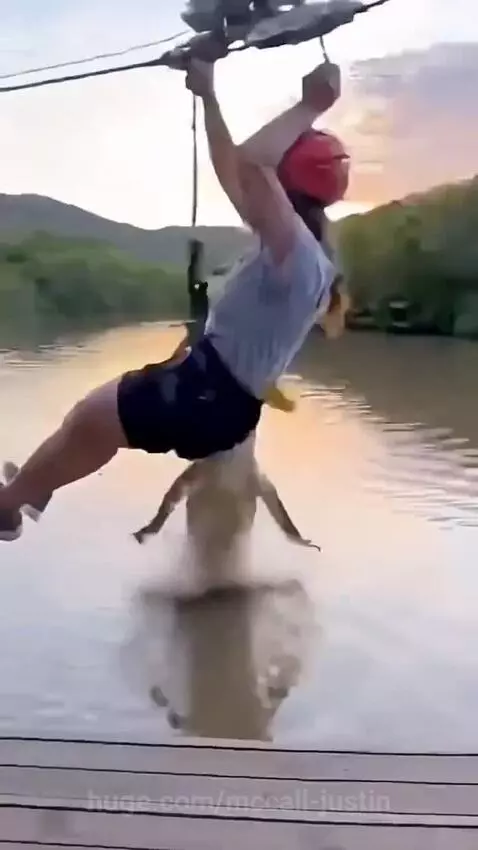 Woman zip-lining over murky water as an alligator leaps out, narrowly missing her.