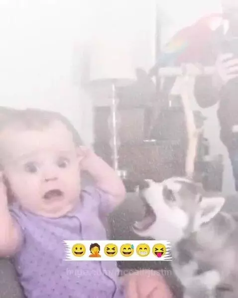 Baby in purple onesie looking surprised at a husky puppy barking.