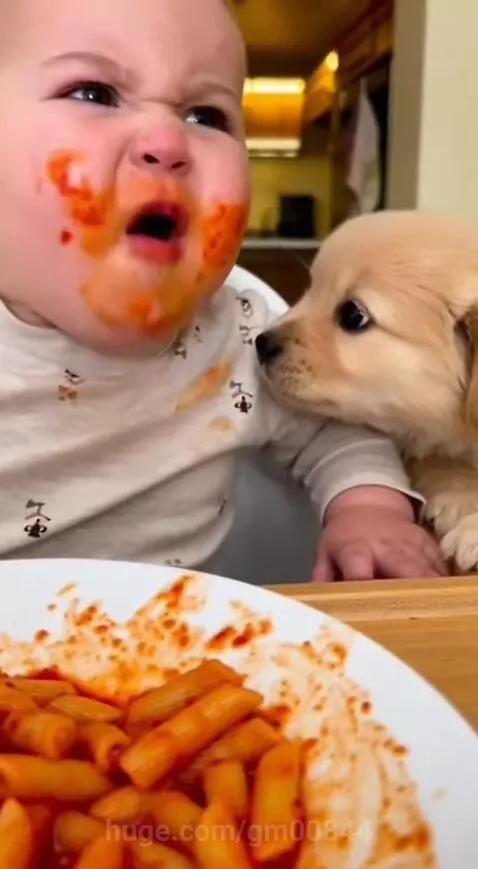 Baby angry with puppy by gm00844