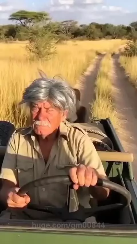 An old man scared by Gorilla 🦍 by gm00844