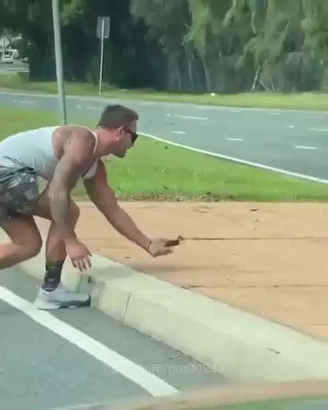 Man in white tank top and camouflage shorts crouching to guide ducks across a road.