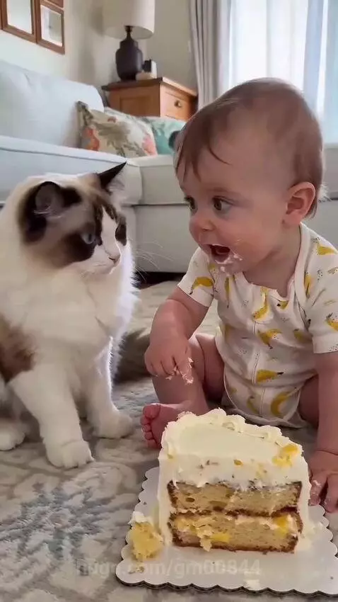 A baby with frosting on its face sits next to a cake, while a fluffy cat looks on intently.