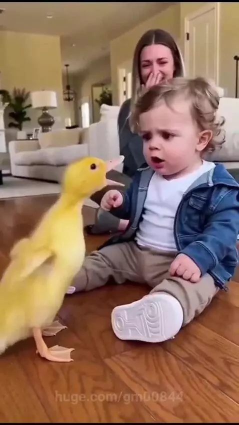 A baby boy in a denim jacket and khaki pants sits on a wooden floor, happily playing with a yellow duckling.