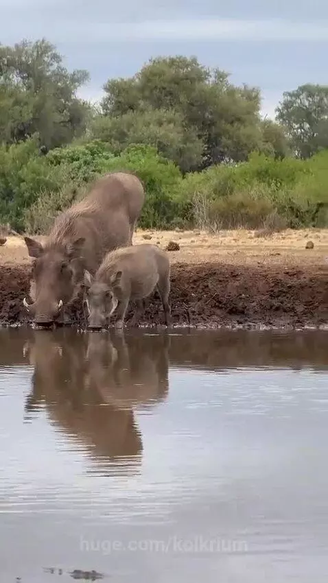 Conservation area 🙃 by kolkrium