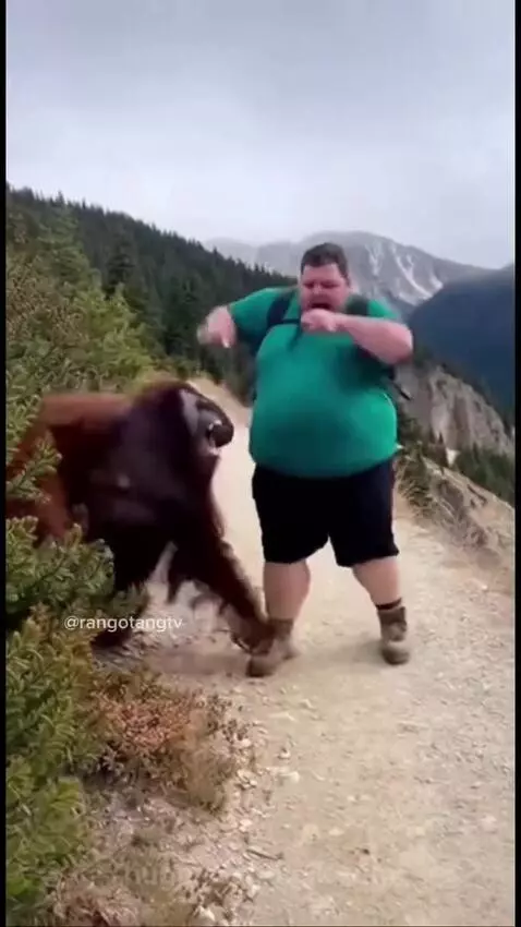 Gotem gorilla 🦍 by kolkrium