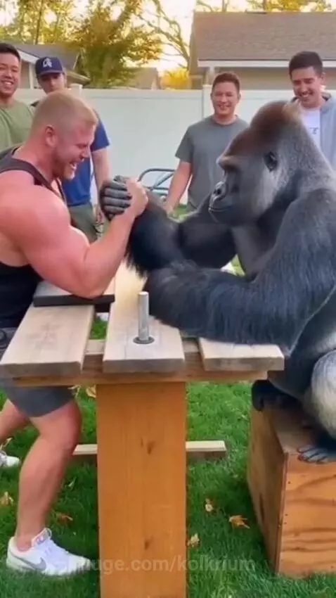 Strong 💪 
https://youtube.com/@framforgeai138?si=XDYjkfzbBfT... by kolkrium