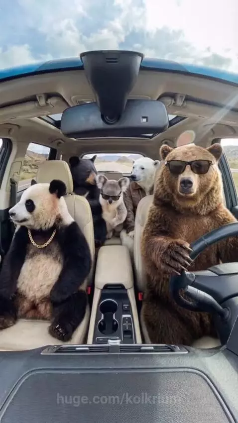 Anthropomorphic animals on a road trip: a bear driving with bunny ears, a panda with a gold chain, and a koala making peace signs.