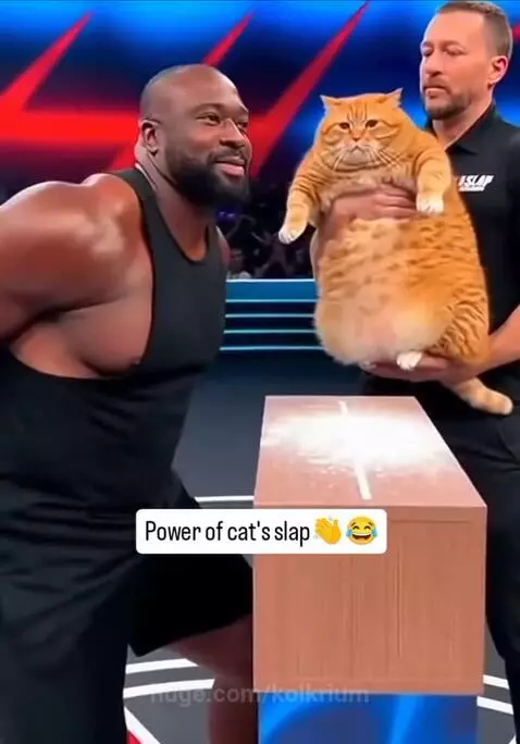 Muscular man dramatically falls backward onto a mat after a cat appears to slap him, creating a large puff of white powder.