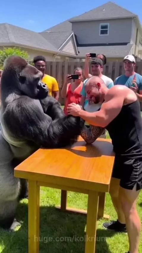 Muscular man arm wrestling a large gorilla outdoors, with a crowd watching and cheering.