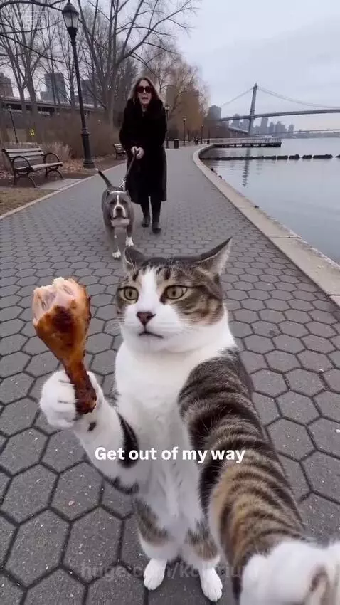 Cat holding a turkey leg takes a selfie, then throws it into the river, causing a dog to jump in after it.