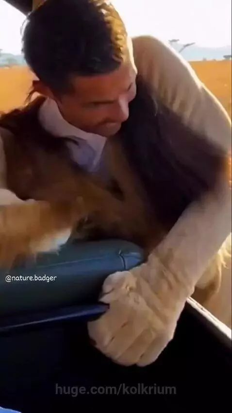 Cristiano Ronaldo in a lion costume reveals himself to startled safari passengers, who then erupt in laughter.
