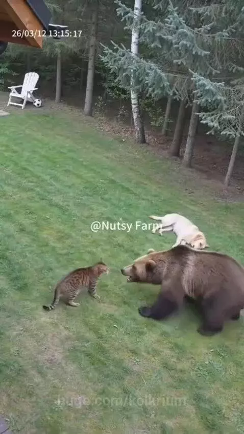 Good save 😯😮😲 by hassam