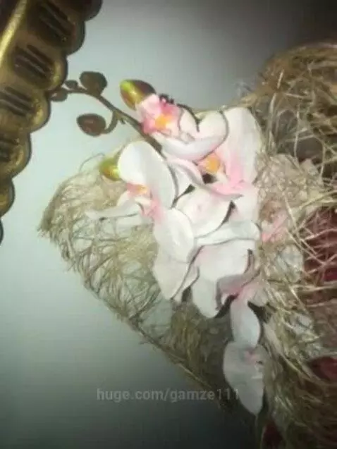 Close-up of artificial light pink and white orchid flowers arranged with dried grass, soft lighting, and a partial ornate golden frame.