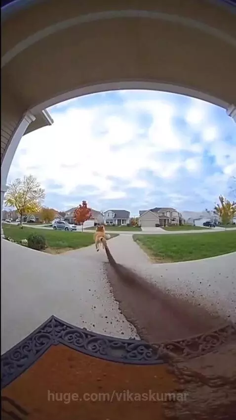 Logs😂😂 by vikaskumar