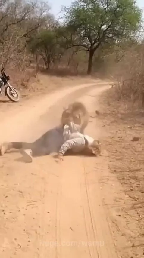 Seconds from Death😲🤯 by wamu