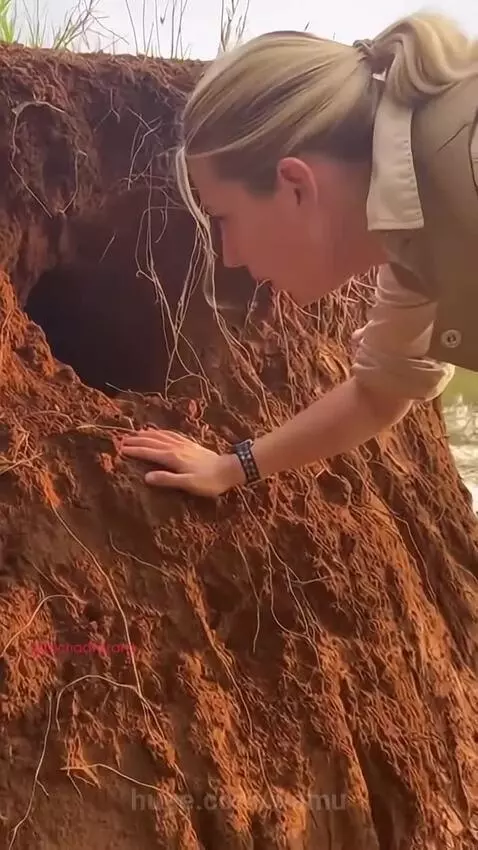 Curiosity Nearly Killed Her by wamu