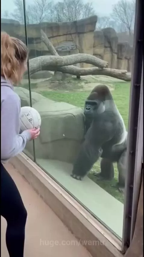 When Playtime Gets Dangerous by wamu