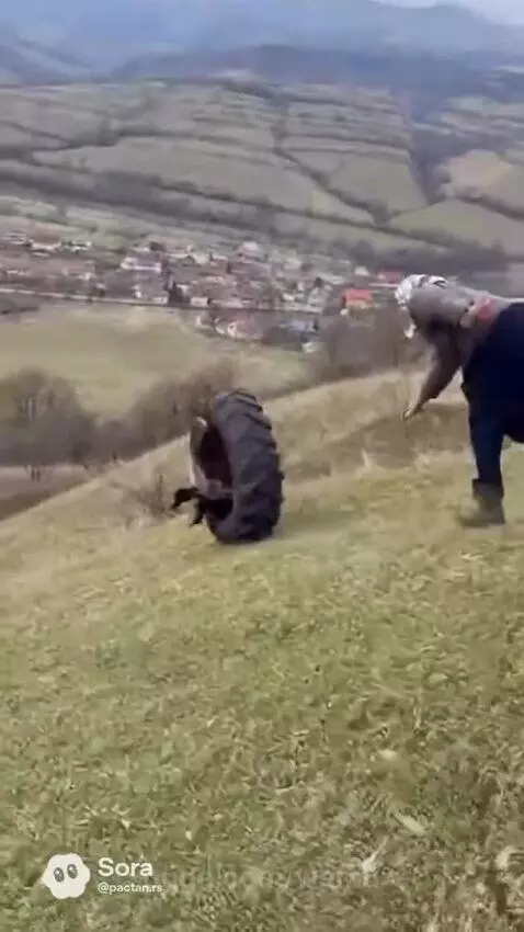 Two elderly women on a grassy hillside, one inside a tractor tire as the other pushes her down the hill.