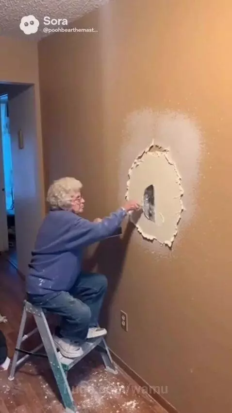 Elderly woman falls off stool after a dog bursts through the wall behind her.