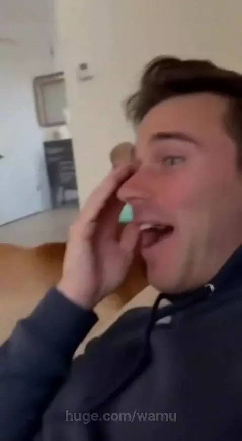 Golden retriever dog walking with a baby on its back, baby is laughing.