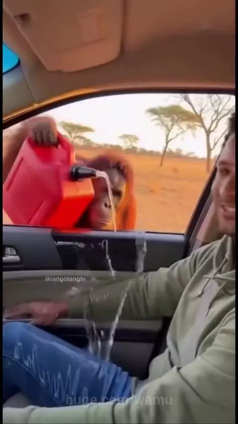 They thought he was cleaning the car. by wamu