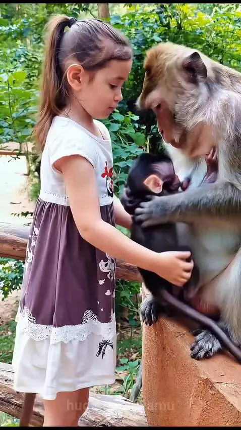 Young girl smiling while holding a baby monkey, with the mother monkey touching her head.