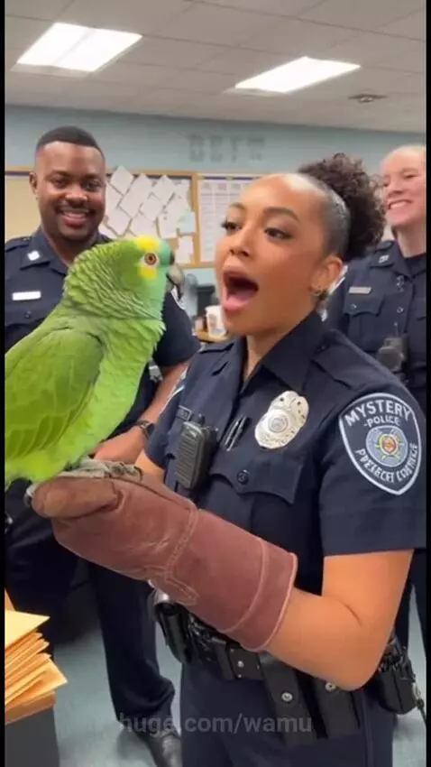 Police officer in uniform holding a parrot, which has just jokingly called her 'expired'.