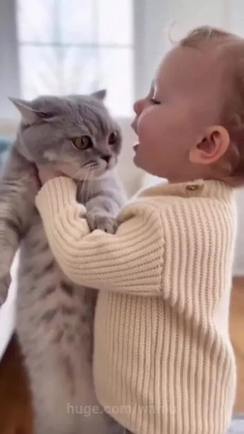 Baby wearing a cream sweater looking at a grey tabby cat and speaking, with the cat meowing.