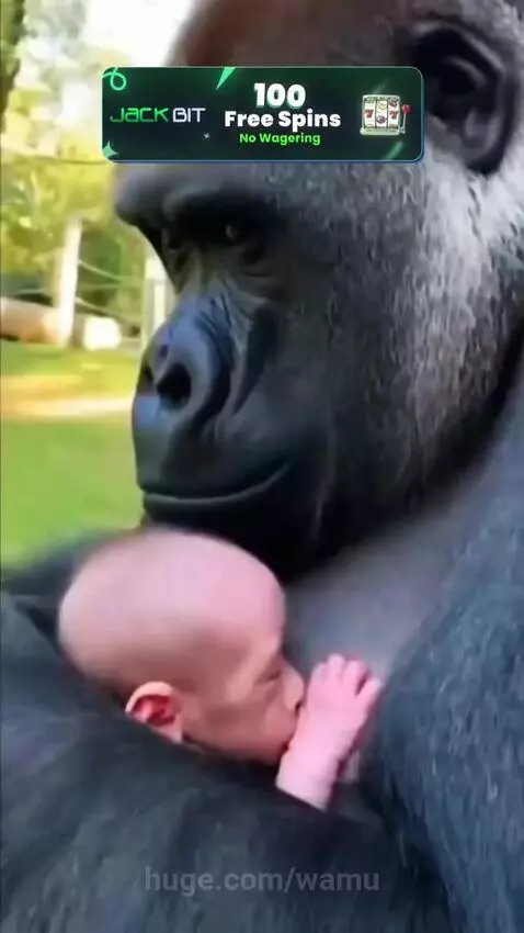 ❤❤❤❤❤❤So cute 😍 🥰 by wamu