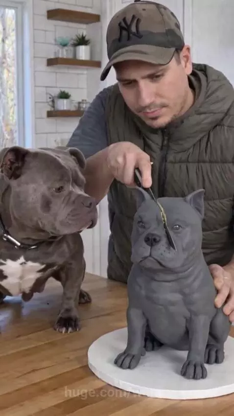 A gray and white bulldog covers its eyes with its paw as a realistic bulldog cake is cut.