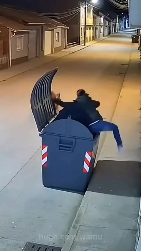 Person screaming inside a blue dumpster as a tiger tries to open the lid.