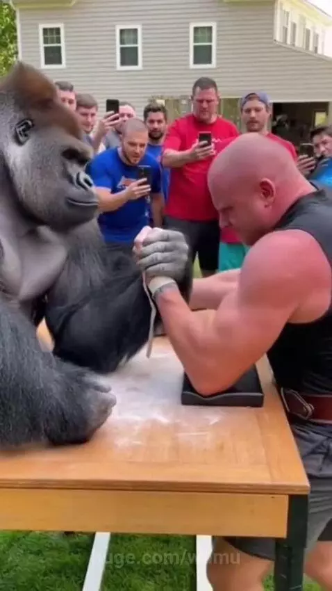 Muscular man arm wrestling a realistic gorilla outdoors, with a cheering crowd in the background.