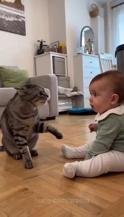 Rottweiler dog gently carrying a meowing cat by the scruff towards a trash can, with a baby watching.