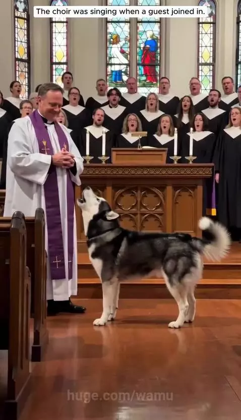 A husky dog stands in front of a church choir and a priest, appearing to sing along.