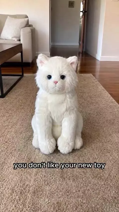 Two fluffy cats, one cream and one grey, cautiously stare at a white cat plush toy.