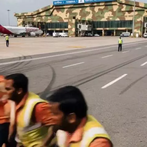 A monkey heroically disarming a bomb on an airplane, saving passengers.