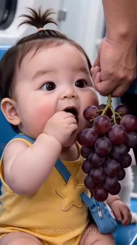 Cute baby in yellow romper eating grapes while a small dog watches, later sleeping.