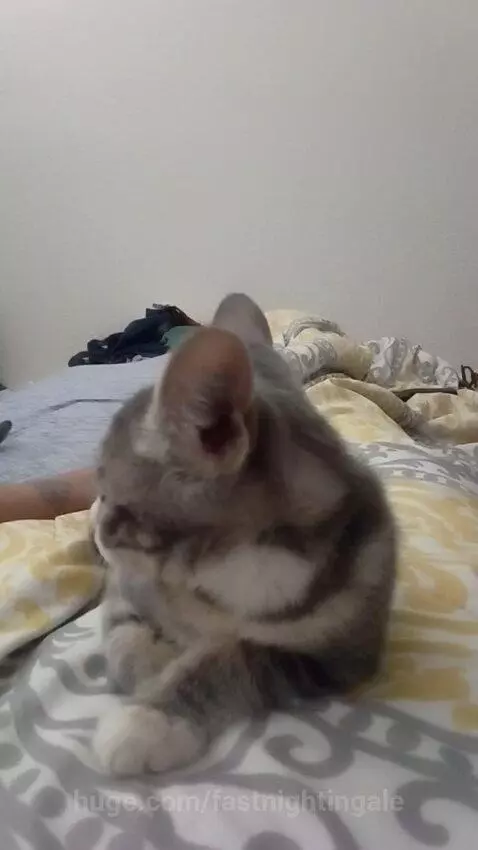 They come alve by fastnightingale