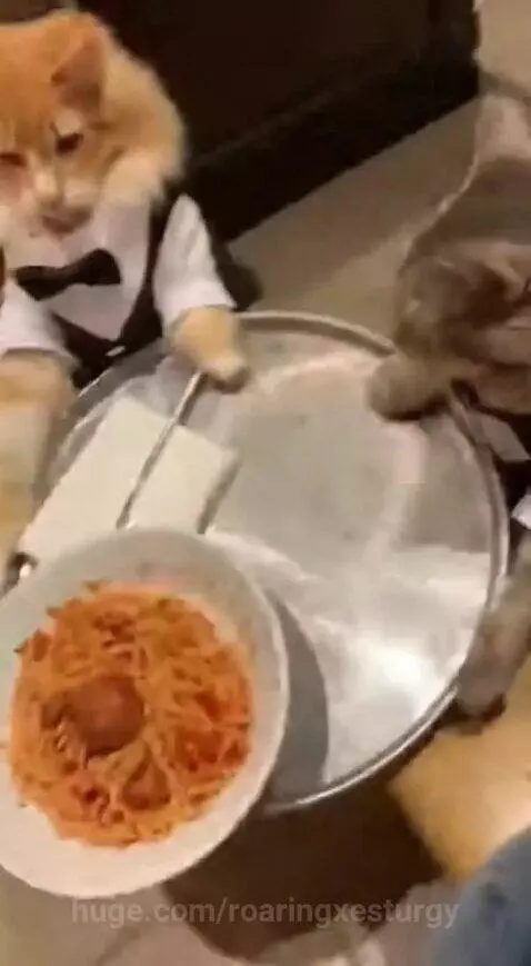 Cat waitress by roaringxesturgy