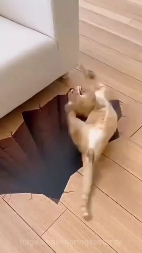 Cats scared from illusions by roaringxesturgy