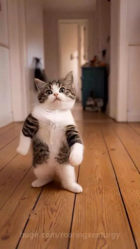 They understood the assignment 😂 by roaringxesturgy