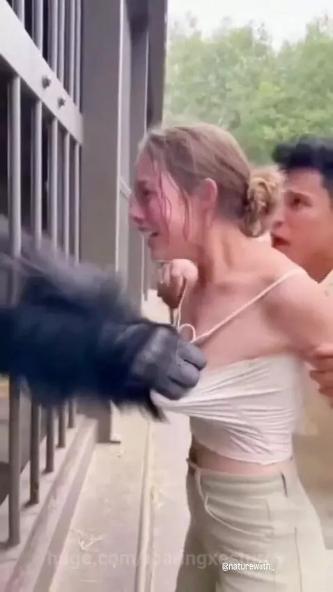 Gorilla causes panic by roaringxesturgy