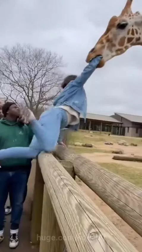 Zarafa hold women by speed0