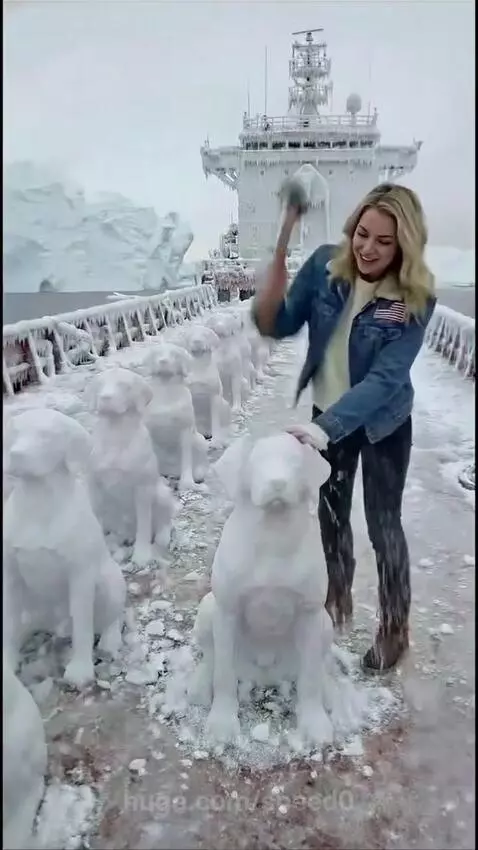 German Shorthaired Pointer dog emerges from a snow sculpture on a ship deck surrounded by ice and icebergs.