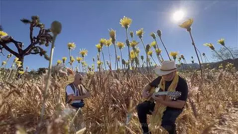 Two musicians playing guitar and flute in a sunny field with tall grass, yellow flowers, and a Joshua tree.