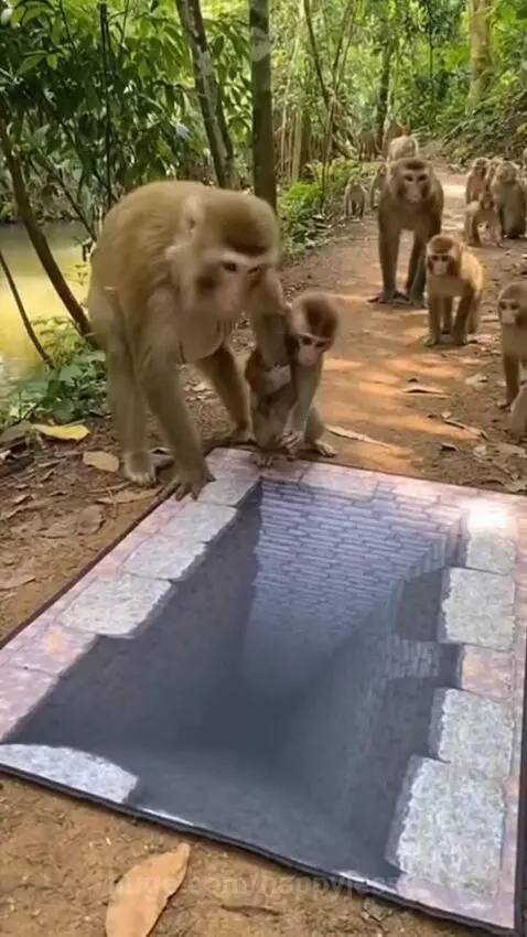 Scary monkey 🐒 made his first shot. by happyjessy