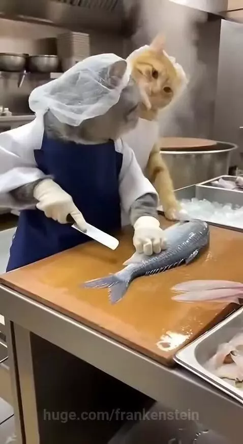 😂😂 by frankenstein